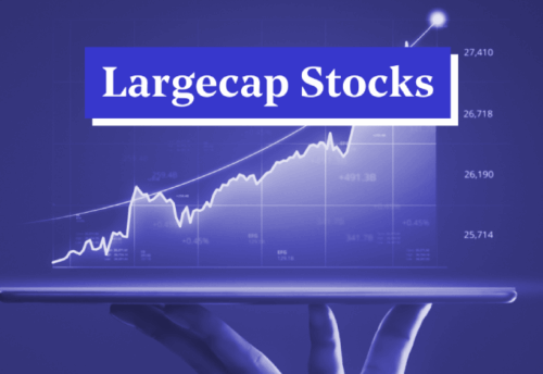 Overview of large-cap stocks and top-performing best large cap stocks in India