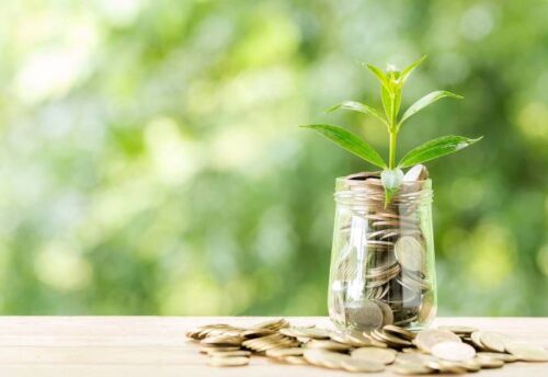 What Is Seed Funding – Early Stage Startup Funding Explained by My Finance Gyan
