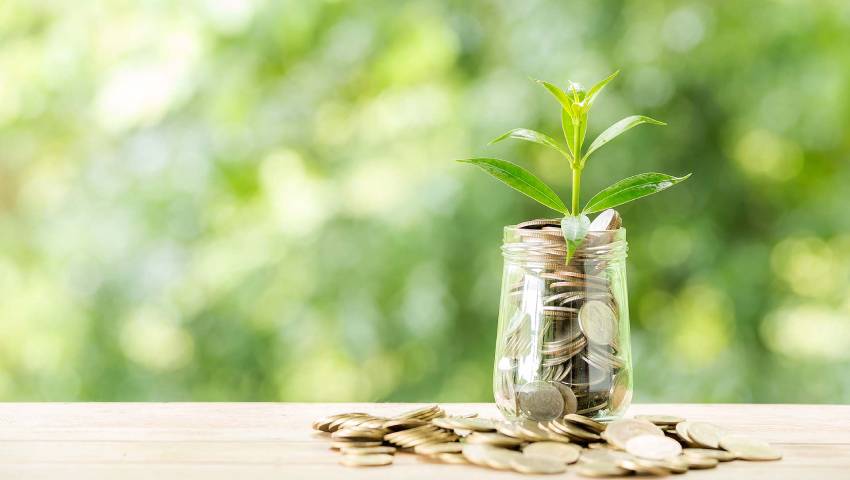 What Is Seed Funding – Early Stage Startup Funding Explained by My Finance Gyan